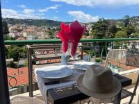 Apartment nice view - B&B Nizza