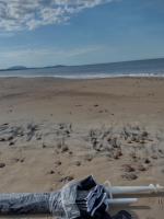 Casa Módulo Bellavista - B&B Bella Vista