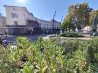 Le Jasmin - charmant T2 en hypercentre d'Agen - B&B Agen