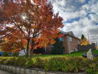 Breeze inn No1 - B&B Halifax