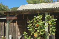 Posada Wiki Wiki - B&B La Paloma