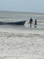 Zanzibar beach escape 1&2 - B&B Bwejuu
