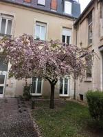 Grand studio avec mezzanine, quartier Avaricum - Chambres d’hôtes Bourges
