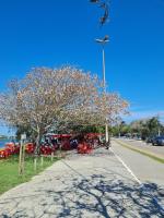 Casa 2 quartos com ar condicionado em condomínio - Chambres d’hôtes Cabo Frio