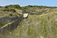 REPOS 150m plage Coeur de Berck - Bed and Breakfast Berck-Plage