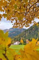 Ferienhaus Lechtaler Alpen - B&B Bach