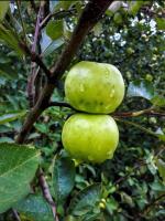 Dream weekend house - Bed and Breakfast Visoko