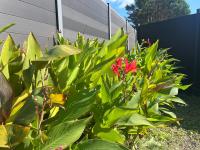 Studio Cosy, au Calme proche CNPE & JONZAC - B&B Boisredon