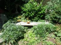 Gaestehaus-Staats - B&B