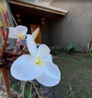 Refugio Rivarahi - Ferienwohnung Hanga Roa