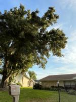 Dockside Dream - B&B Winter Haven