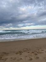 Surf & Turf Romantic Coastal Retreat - Close to Ocean Beach - B&B Tuki Tuki