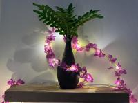 SB Legacy Fireflies Swarm - B&B Bengaluru
