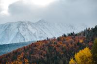 ZAKOZNAMI-Willa WYPAS-Free Parking - B&B Zakopane
