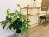 Wohlfühl-Apartment Kassel - B&B Kassel