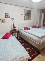 Maemorare - Caratteristico Bilocale in Casetta Indipendente - B&B Challand-Saint-Anselme