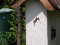 Appartamento con Balcone