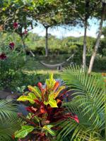 Camera Matrimoniale con Bagno Privato