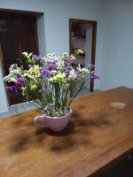 Casa Rosada em Rio de Contas - B&B Rio de Contas