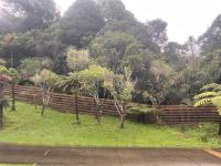 Enfield Bush Retreat - Chambres d’hôtes Lower Hutt