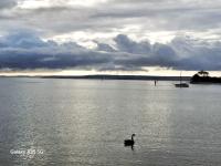 The Shanty - B&B American River