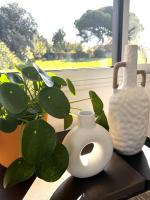 La Grange, Vendée, Nesmy - Ferienwohnung Nesmy