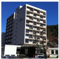 Apartment Schwarzwaldtraum - B&B Sankt Blasien