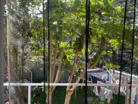 Coral House - Bed and Breakfast Sydney