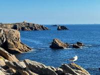 Studio cabine 42m² - Quiberon, proche Côte Sauvage - FR-1-478-184 - B&B Quiberon