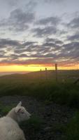 Amazing Sunsets and Sea Views - Lodge Cabin Farm Stay - Caol Ila - Lodge 8 - B&B Stranraer