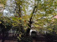 Maison de Ville Tirana - Bed and Breakfast Tirana