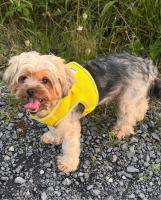 Rooms Foxford - B&B Foxford