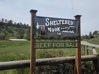 Sheltered Nook Bunk N Board - B&B Molt