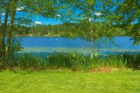 Lakefront Bungalow! 35 Miles To Mt Rainier! - B&B Eatonville