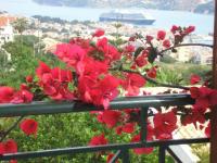 Studios Rania - Rania Studios & Apartments - B&B Lassi