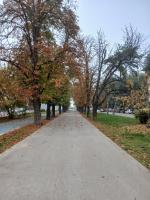 LS Central 2 Apartment - B&B Ruse