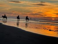 Elegant apartment in Essaouira - Ferienwohnung Essaouira
