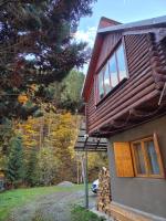 Cabana Montis River - B&B Băişoara