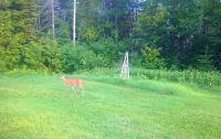 Madawaska Lodge-Cottage