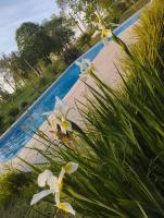 Las moras saladillo - B&B Saladillo