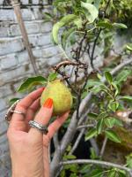 Comfy child/dog friendly garden flat heart Camden - Ferienwohnung London