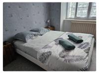Alphonse - B&B Felletin