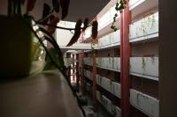 Feel The Ocean Apartment - Praia do Cabedelo - B&B Viana do Castelo