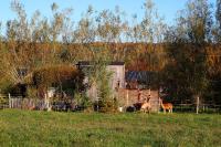 Tiny house, sauna hot tub Gesves Namur Ardennes - B&B Gesves
