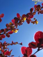 Casa Vind - B&B El Calafate