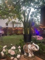 Tree House 6 bedrooms, 2 blocks from everything - B&B Cuyahoga Falls