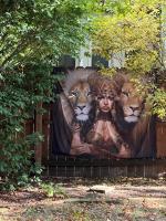 Tree House 6 bedrooms, 2 blocks from everything - B&B Cuyahoga Falls