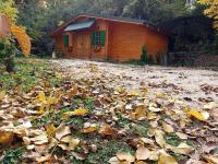 La Râu - Căsuța de poveste - B&B Campulung Muscel