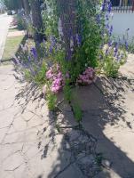 Rincón de sueños - B&B San Pedro