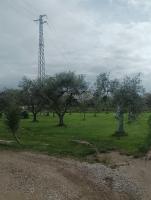 Villa Anna - B&B Il Romito